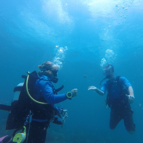 Rincón Diving & Snorkeling