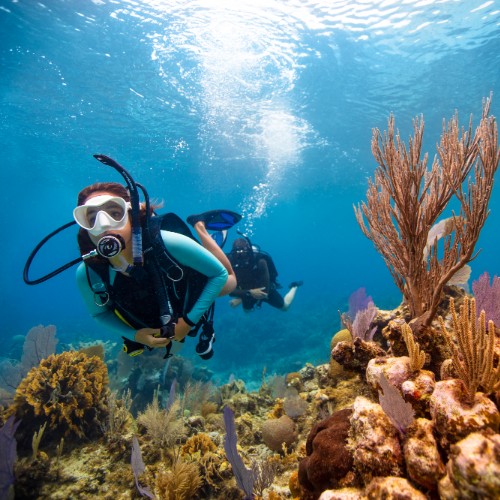 Rincón Diving & Snorkeling