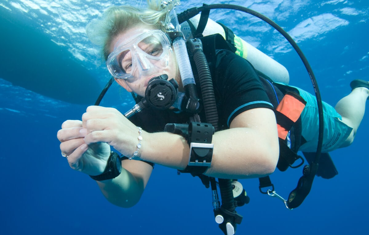Scuba Refresher Course|Rincón Diving & Snorkeling Scuba Refresher Course|Rincón Diving & Snorkeling